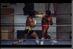fight fight