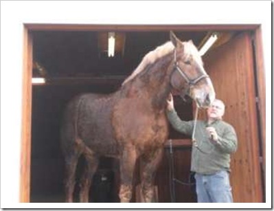 Big Jake