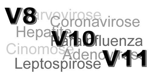 v8v10v11