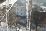 IMG_1652.JPG