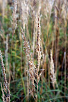 img_0541.jpg
