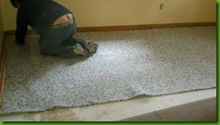 carpet, installation, buttcrack, plumber, pad