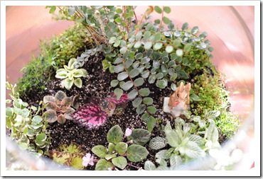 A Miniature Garden