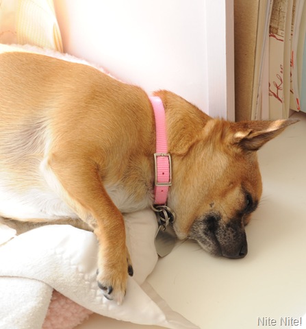 [Chelsea after sewing on a button[8].jpg]