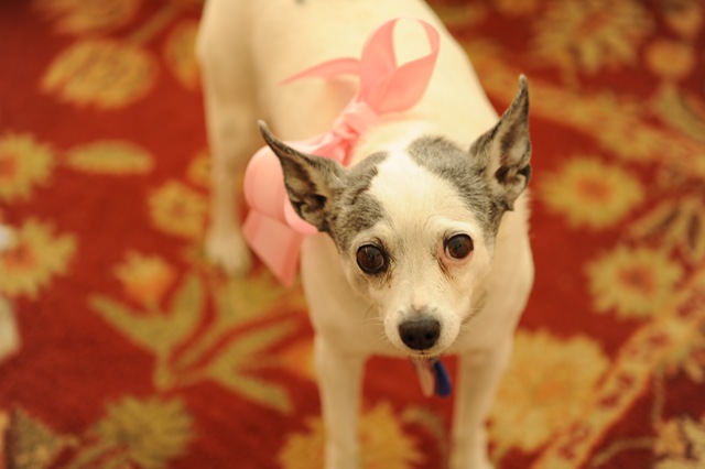 [Birthday Girl[4].jpg]