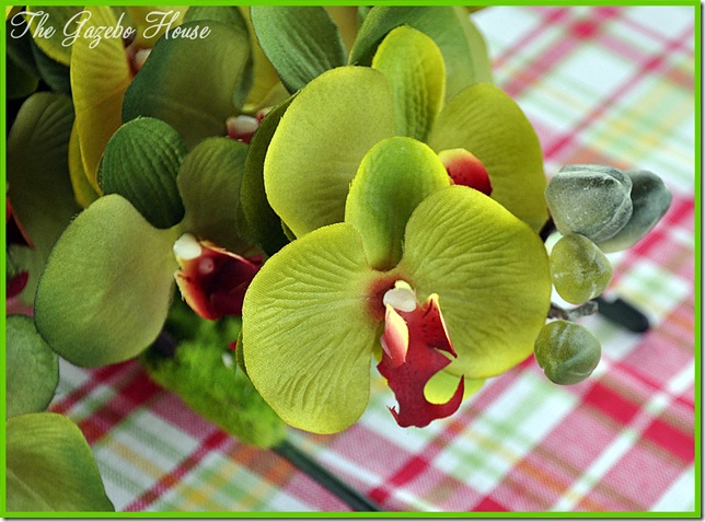 DSC_0107 DSC_0107