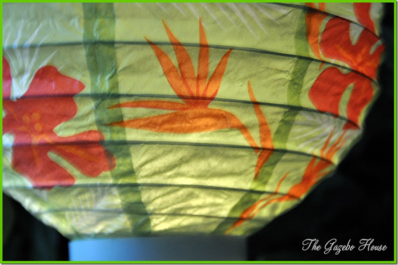 DSC_0124 DSC_0124