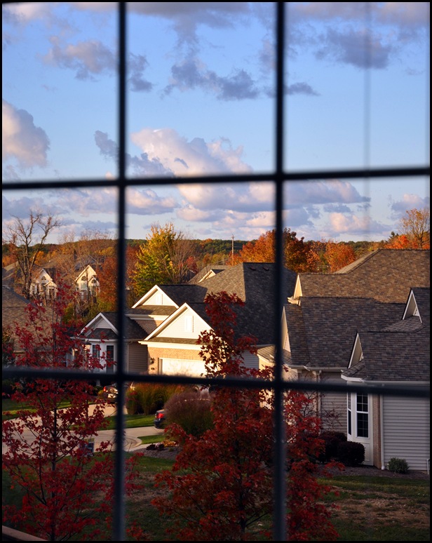 DSC_0086 DSC_0086