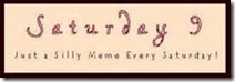 sat9logo
