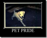 PETPRIDE PETPRIDE