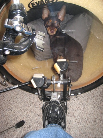 [rellie drum[3].jpg]