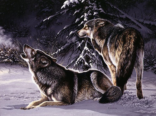[wolves[2].jpg]