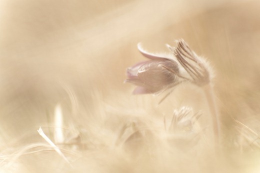 SZAB7730-2-res SZAB7730-2-res