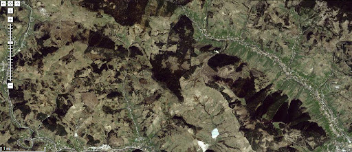 defrisari romania imagini copaci taiati