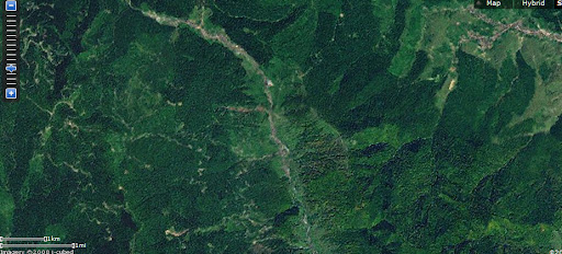 defrisari romania imagini copaci taiati