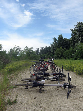 let's bike it vlad dulea geo atreides prima editie