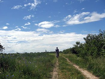 let's bike it vlad dulea geo atreides prima editie