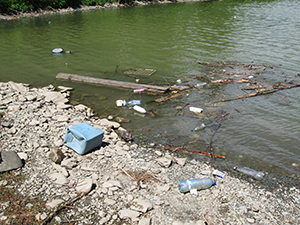 ecologizare piatra craiului 2009