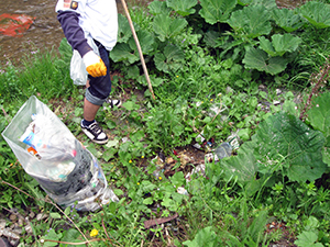 ecologizare piatra craiului 2009