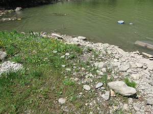ecologizare piatra craiului 2009