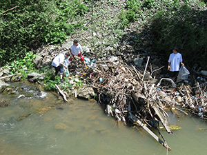 ecologizare piatra craiului 2009