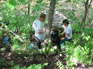 ecologizare piatra craiului 2009
