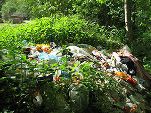 ecologizare piatra craiului 2009