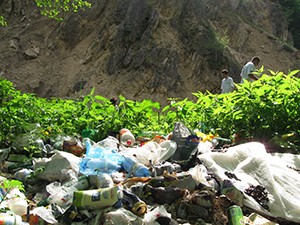ecologizare piatra craiului 2009