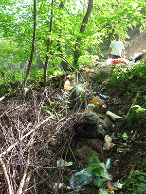 ecologizare piatra craiului 2009