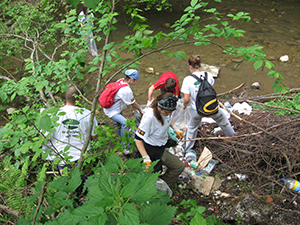 ecologizare piatra craiului 2009