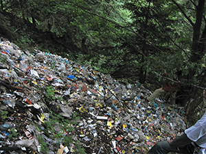 ecologizare sinaia 2009 august ecoassist geo atreides