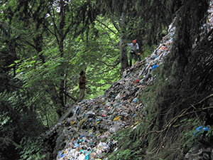 ecologizare sinaia 2009 august ecoassist geo atreides
