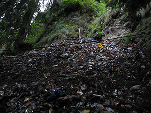 ecologizare sinaia 2009 august ecoassist geo atreides