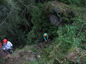 ecologizare sinaia 2009 august ecoassist geo atreides