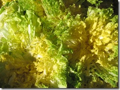 Salade vert jaune