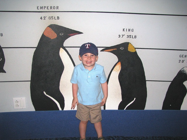 [Will penguins[2].jpg]