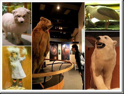 blog-2_thumb