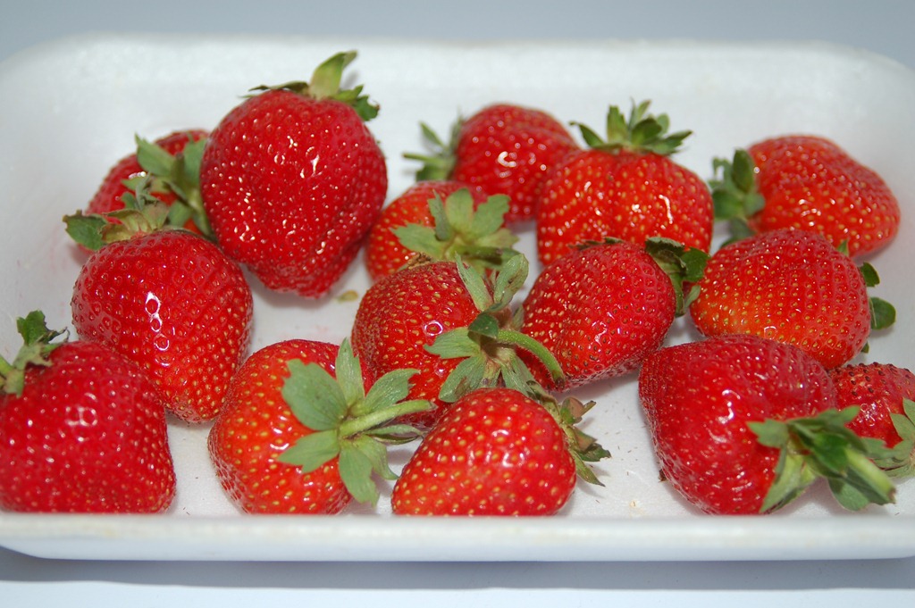 [morangos_pais[6].jpg]