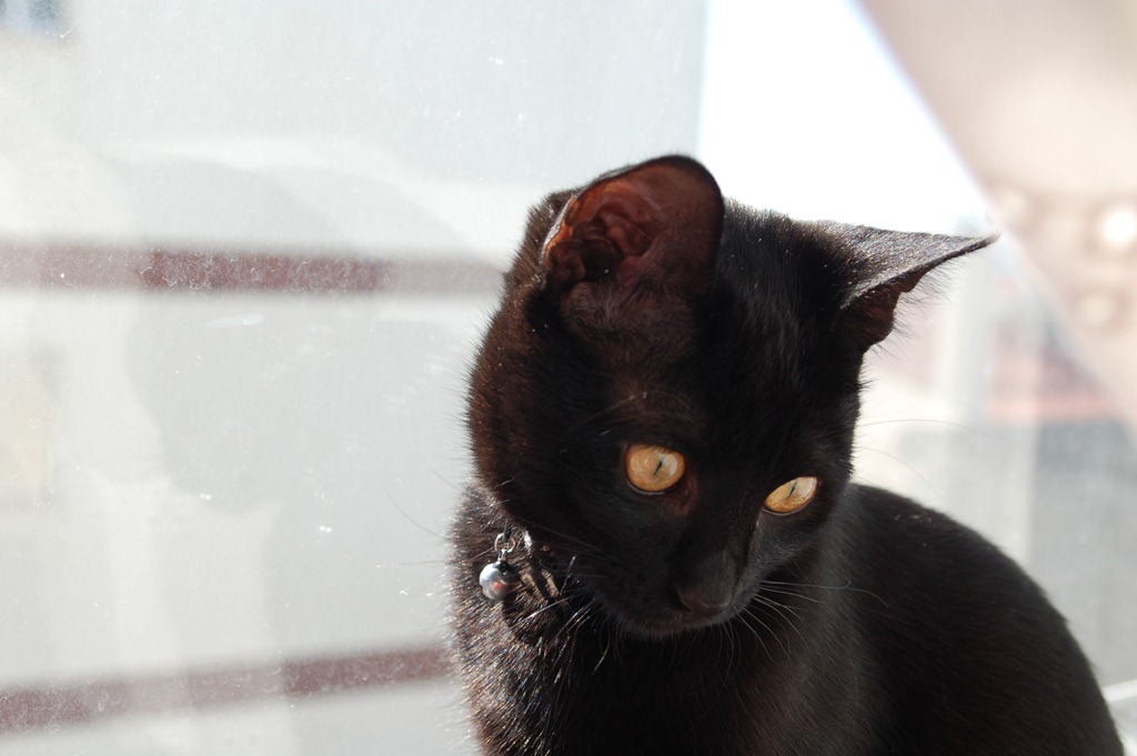 [bolo_maca_caramelada2[4].jpg]