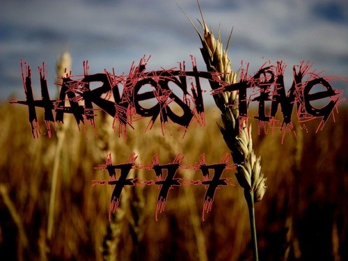 [Harvest time 777[5].jpg]