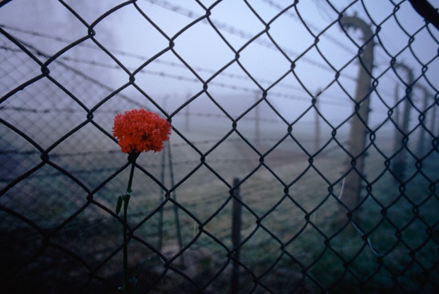 [SH005316[12].jpg]