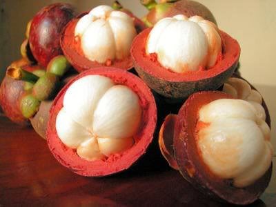 [garcinia mangostana 1[4].jpg]