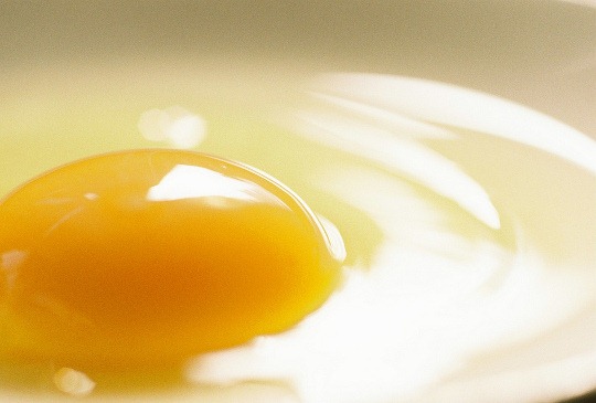 [egg[3].jpg]