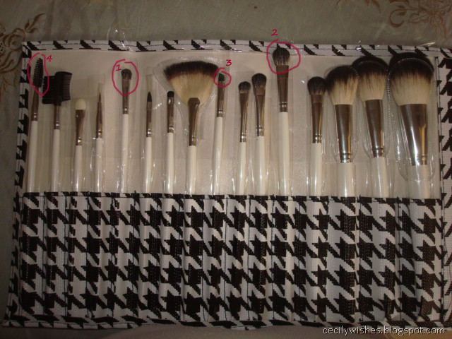 [16pc-brushes[13].png]