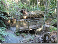 IMG_1748 IMG_1748