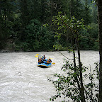 IMG_0137.JPG