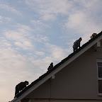 IMG_8745.JPG