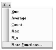 The AutoSum button offers quick access to basic functions and the Insert Function dialog box.