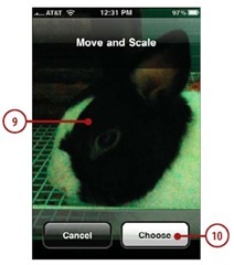 Use the Move and Scale screen to configure the photo. (Chapter 13 explains how to use this screen.)