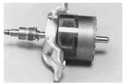 Shaded-pole synchronous motor showing magnetized poles.